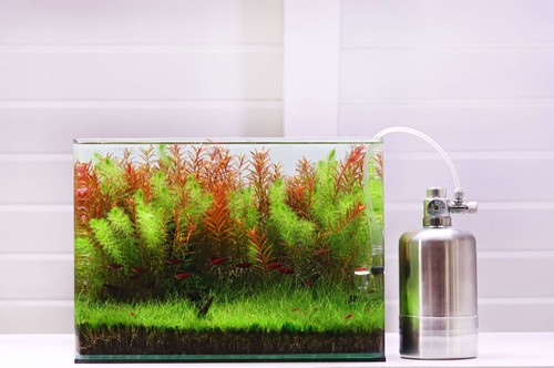 Natureholic co2 generator - natureholic,